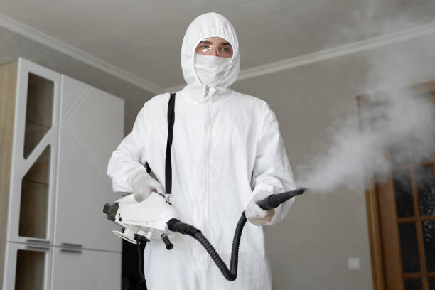 Best Biohazard Mold Removal  in Kerens, TX