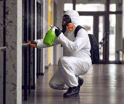 Best Industrial Mold Remediation  in Kerens, TX